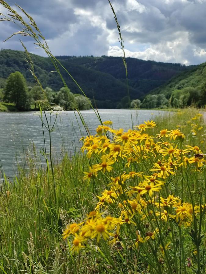 Entre Meuse Et Foret Revin  Exterior foto