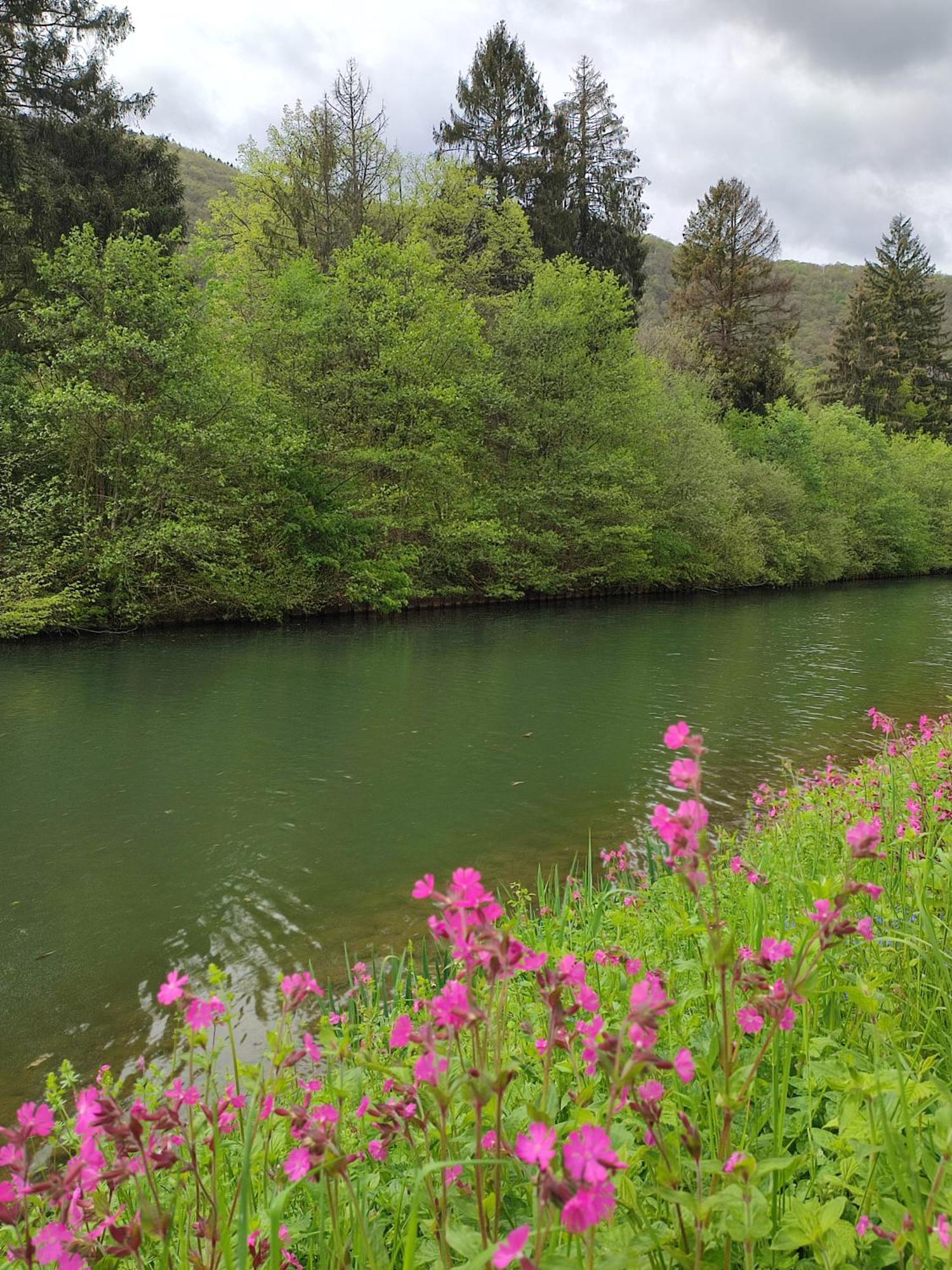 Entre Meuse Et Foret Revin  Exterior foto