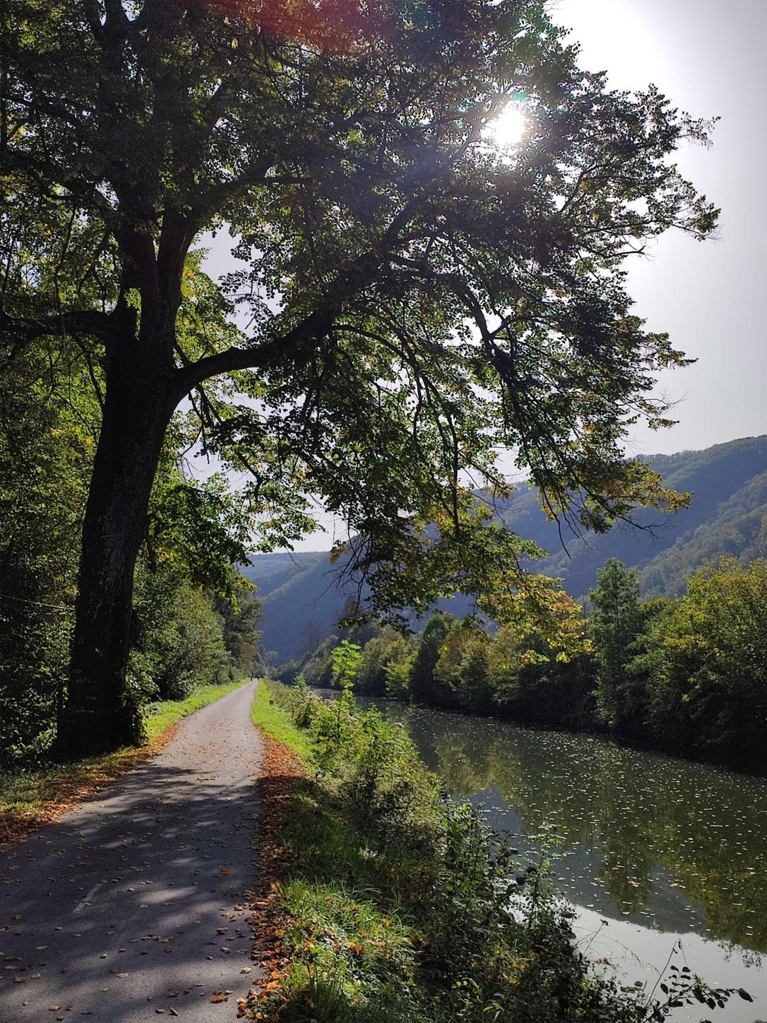 Entre Meuse Et Foret Revin  Exterior foto